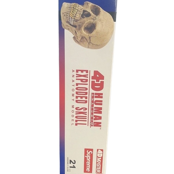 Supreme 21 Piece Human Skull Model / Puzzle With Embossed Logo Teeth - Picture 7 of 7